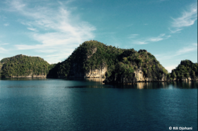 Expanding the Coral Triangle Center’s Indonesia Portfolio with 5-Year USAID SEA Project