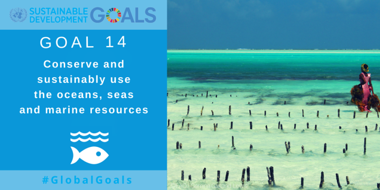 CTC Joins CTI-CFF Partners Meeting