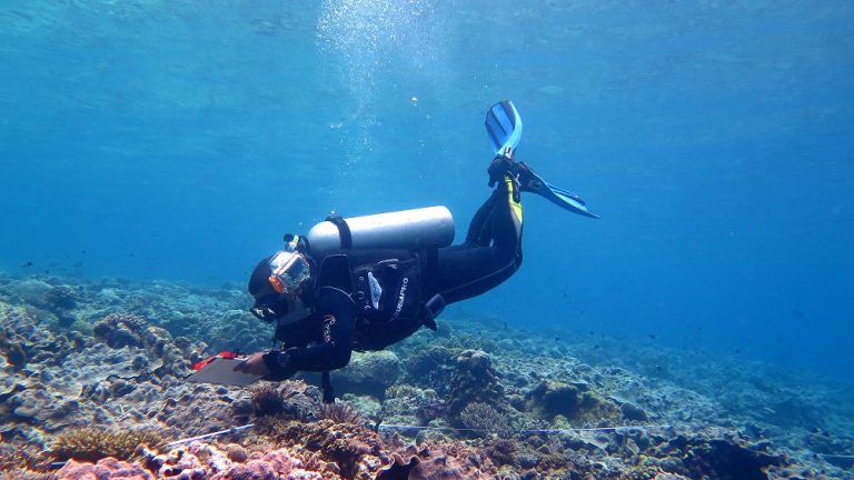 CTC Conducts Scientific Surveys in Sula Islands to Study Feasibility of Setting Up New Marine Protected Areas