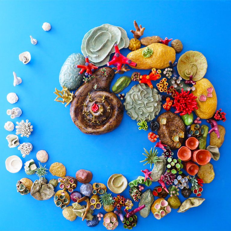 Mini Coral Art Sculpture Installed at CTC’s Center for Marine Conservation