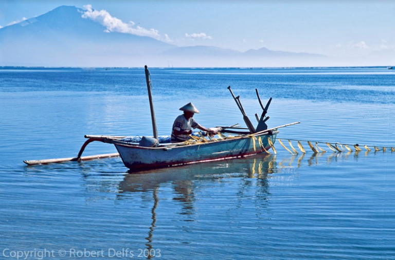 Building Sustainable Fisheries Management Capacity in East Indonesia