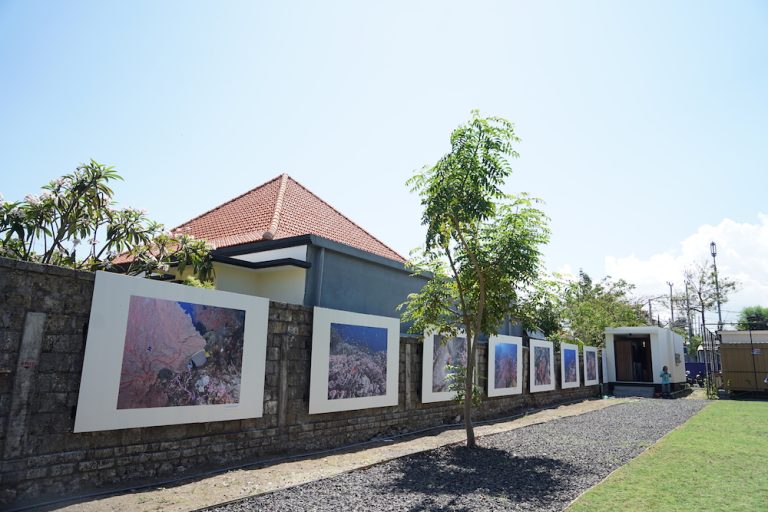 Life Below the Surface Photo Exhibition