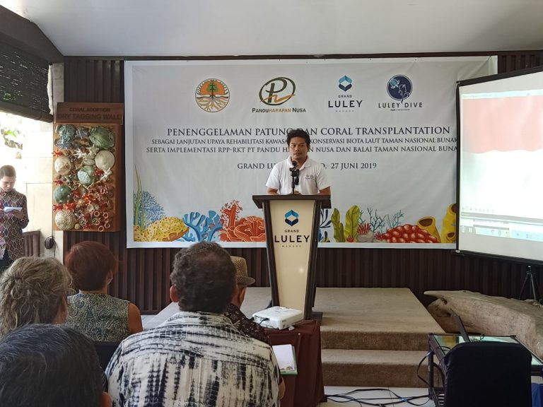 manado-bunaken-karang