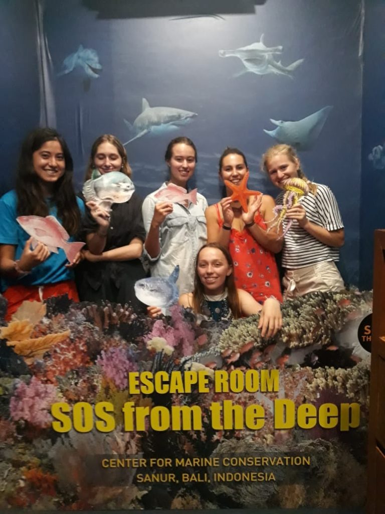 Hands-on Learning About Marine Ecosystems