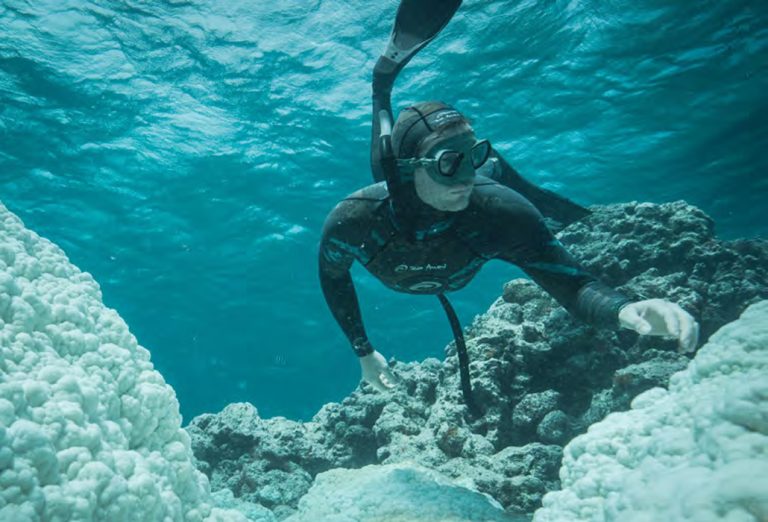 Talking Underwater 2 : The Day the Sea Changed