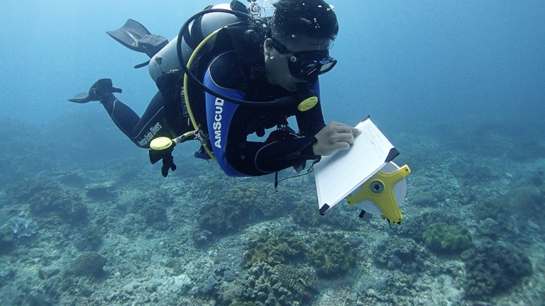 Diving into the Core Zone: Reef Health Monitoring in Nusa Penida Marine Protected Area
