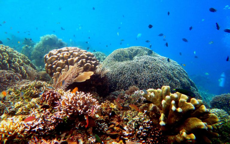 Supporting Indonesia’s MPA Vision 2030