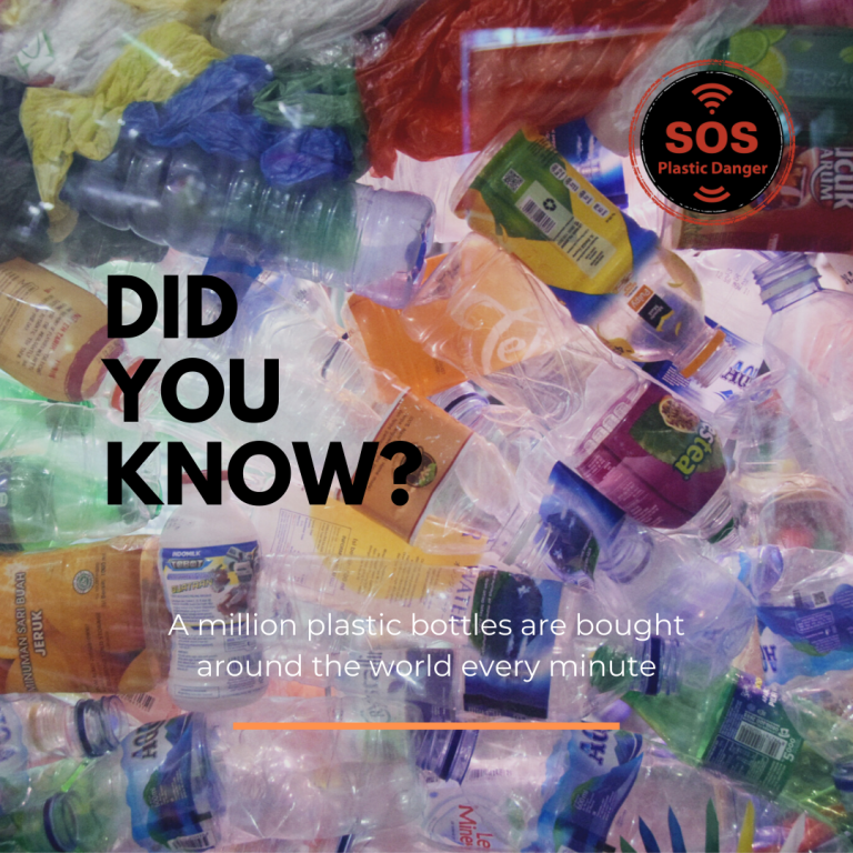 Counting the Days to the Soft Launch of Escape Room “SOS Plastic Danger”