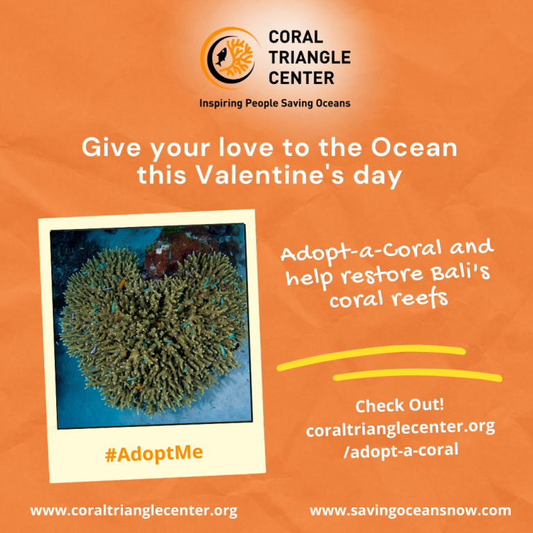 Adopt-a-Coral with CTC! Share your love for the Ocean this Valentine’s Day!