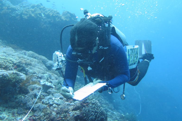 EVIKA: A Refined Evaluation Tool for MPAs in Indonesia