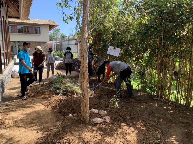 Permaculture Garden at CTC Center for Marine Conservation Takes Root