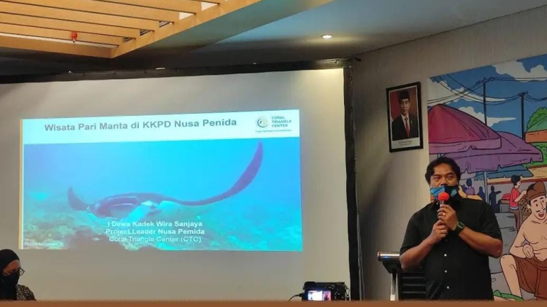 Developing Elasmobranch and Cetacean Tourism Guidelines in Indonesia
