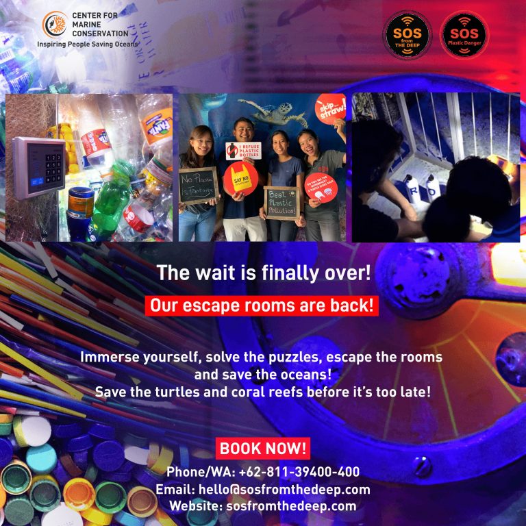 Our Escape Rooms are Back!