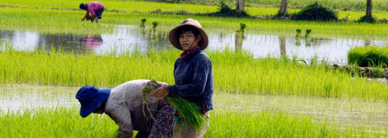 CTC Joins Global Leaders Discussion on How Women Are Leading Solutions to Climate Change