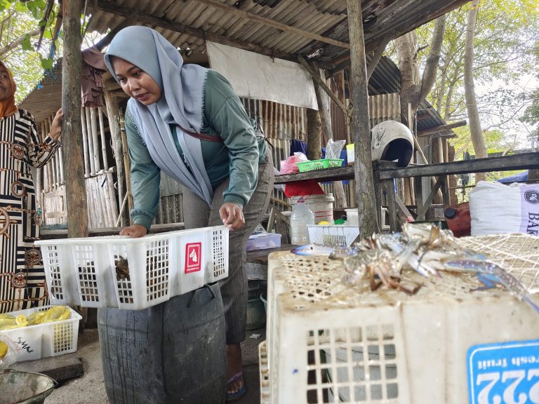 Mapping Women’s Role in Blue Swimming Crab (BSC) Fisheries in Central Java