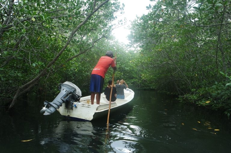 Fun Learning Trip to Nusa Penida with CTC Interns