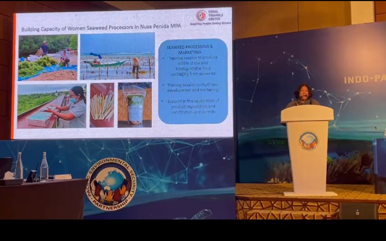 Tackling Environment and Security in the Asia Pacific Region