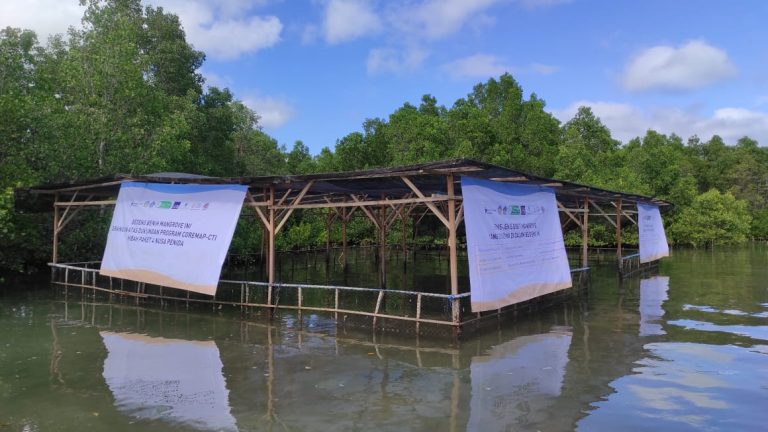 Mangrove Rehabilitation in Nusa Lembongan