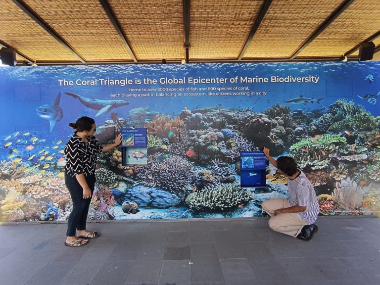 Discover the Coral Triangle’s Biodiversity in Coral City