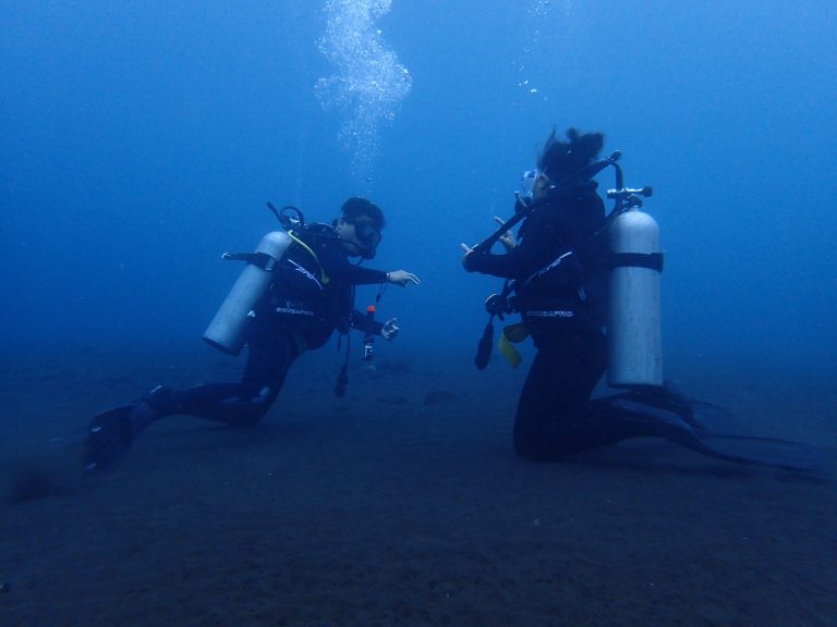 Discover the Wonders of the Ocean with Coral Diving School