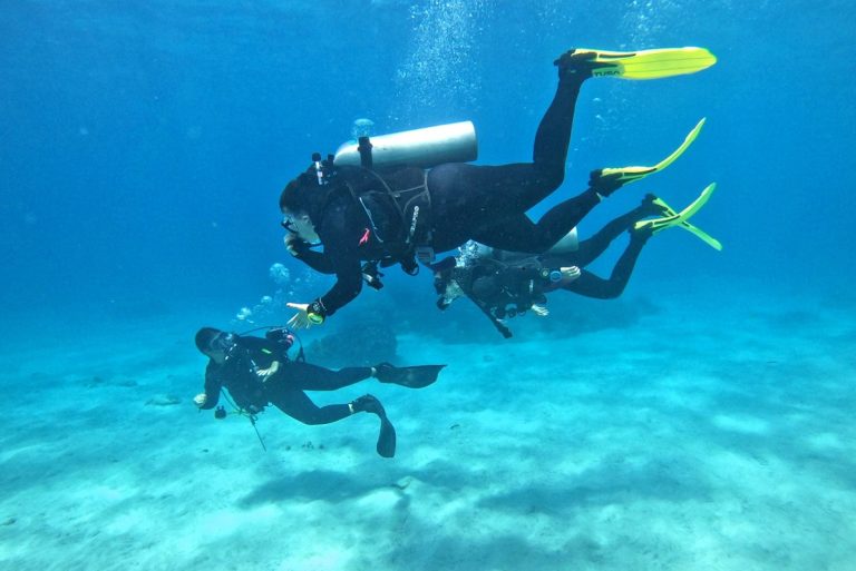 Promoting Sustainable Marine Tourism: CTC Assesses New Green Fins Members in Bali and Komodo National Park