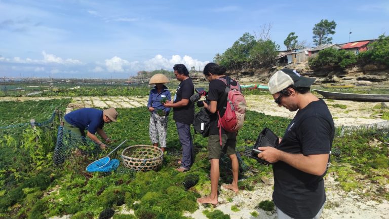 In the Spotlight: Filming Success Stories in the Nusa Nusa Penida MPA