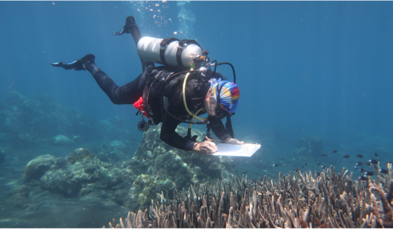 Exploring Coral Resilience from Alor to Komodo with Dr. Rod Salm