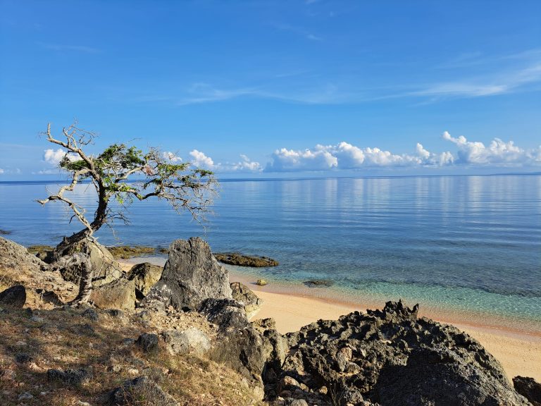 Driving Community-Led Conservation, Coral Triangle Center Advances Zoning Implementation in Timor-Leste