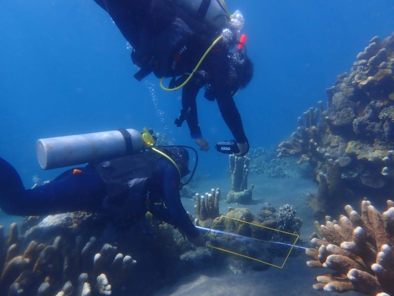 CTC Strengthens Coral Reef Monitoring Capacity Through Indonesia’s First Coral Cover Monitoring Competency Assessment
