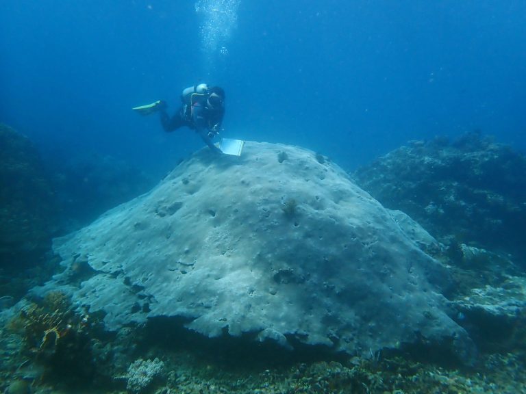 Building the Foundation for Two Expanded Marine Protected Areas in Timor-Leste