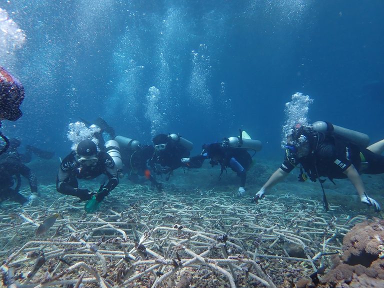 New Reef Stars and New Trainers Expand and Strengthen Coral Restoration in Nusa Penida MPA